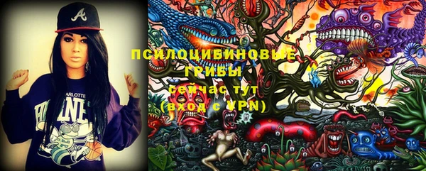 тгк Зеленодольск