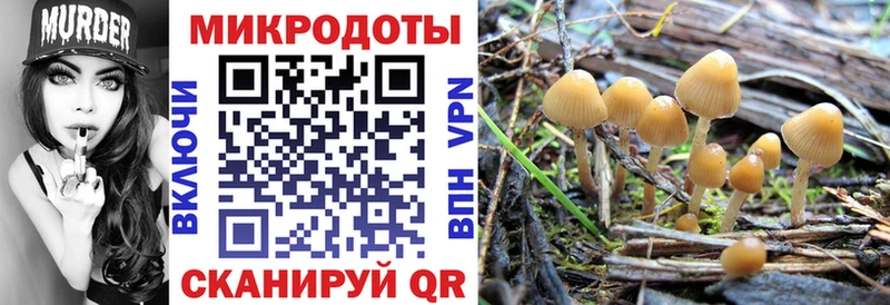 Купить где  Ардон  Галлюциногенные грибы GOLDEN TEACHER 